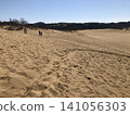 Tottori sand dunes 141056303