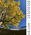 Autumn leaves in Yokohama 141056308