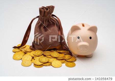 A display of gold coins, a leather pouch, and a piggy bank, evoking images of asset management. 141056479