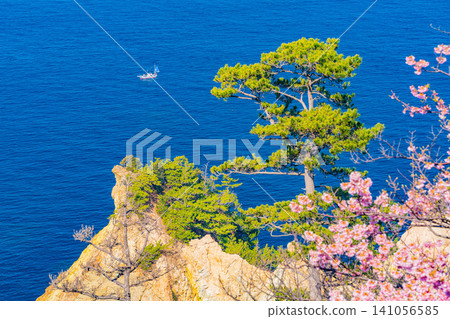 [Shizuoka Prefecture] The unusual rock formation (Horse Rock) at Koganezaki, West Izu 141056585