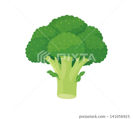 Broccoli, flat illustration Broccoli, flat illustration 141056925