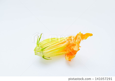 Fresh zucchini flowers Fresh zucchini flowers 141057291