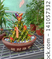 Stylish potted plants, believed to bring good fortune and prosperity, that I saw at the Taichung World Flower Expo in Taiwan. 141057332