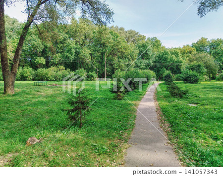 Sunlit Park Path Through Lush Green Trees With Small Pines and Open Grass Meadow. Sunlit Park Path Through Lush Green Trees With Small Pines and Open Grass Meadow. 141057343