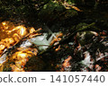 Ashiarai River and Taishi's Cold Spring (Hyogo Prefecture) 141057440