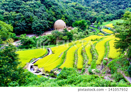 [Kagawa] Summer on Shodoshima Island: Nakayama Senmaida Rice Terraces under a clear sky 141057932