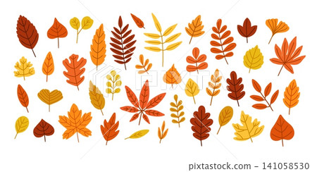 Fall leaf. Autumn colorful leaves. Simple doodle warm red, yellow, orange foliage. Season forest tree and bush leaves. Flat decorative natural botanical elements. Vector set Fall leaf. Autumn colorful leaves. Simple doodle warm red, yellow, orange foliage. Season forest tree and bush leaves. Flat decorative natural botanical elements. Vector set 141058530