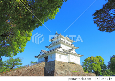 Scenery of Odawara Castle, Odawara City, Kanagawa Prefecture Scenery of Odawara Castle, Odawara City, Kanagawa Prefecture 141058716