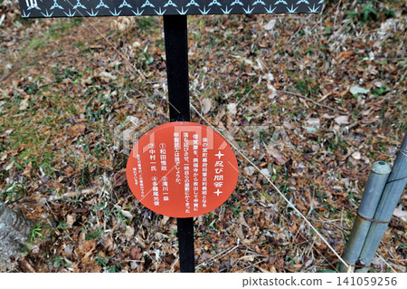 近江國:忍者城、和田城、土方工程和圍牆 近江國:忍者城、和田城、土方工程和圍牆 141059256