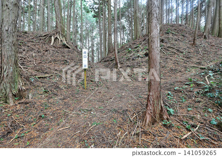 近江國:忍者城、和田城、土方工程和圍牆 近江國:忍者城、和田城、土方工程和圍牆 141059265