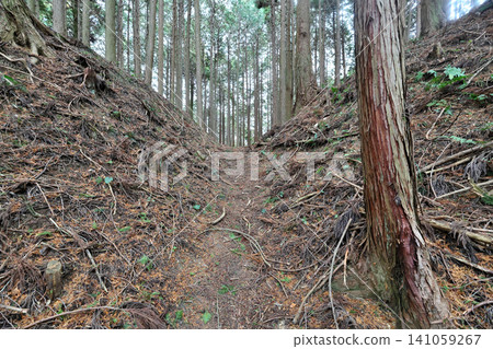近江國:忍者城、和田城、土方工程和圍牆 近江國:忍者城、和田城、土方工程和圍牆 141059267