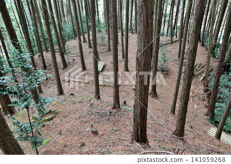 近江國：忍者城、和田城、土方工程和圍牆 141059268