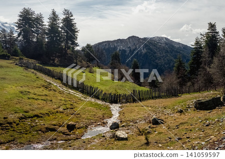 Rural alpine countryside view with hills, pine trees, and a wooden picket fence 141059597