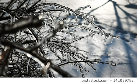 ice covering thin branches against light sky background with soft clouds. 141059792