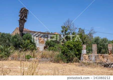 Abandoned Mediterranean villa with overgrown vegetation and a tall palm tree Abandoned Mediterranean villa with overgrown vegetation and a tall palm tree 141060212