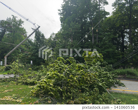 Trees toppled by the storm and broken utility poles: Scene of damage to essential infrastructure. Trees toppled by the storm and broken utility poles: Scene of damage to essential infrastructure. 141060536