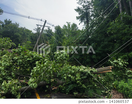 Power lines damaged by fallen trees and utility poles tilted; damage to lifelines due to strong winds. Power lines damaged by fallen trees and utility poles tilted; damage to lifelines due to strong winds. 141060537