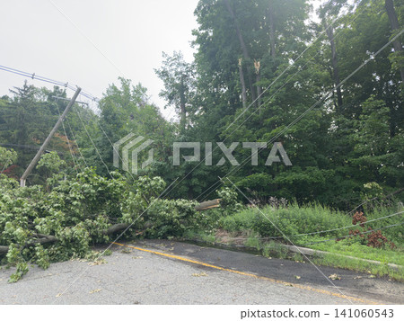 道路被倒下的樹木、傾斜的電線桿和下垂的電線阻斷：強風造成的災害破壞。 141060543