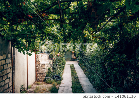 Entrance door small residential house in neighborhood, exterior building outside 141061130