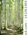 Hakuto Corridor 141061969