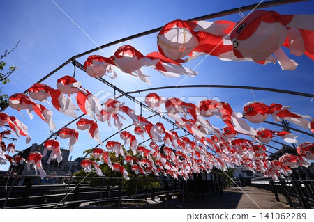 Yanai Goldfish Lantern Festival 2973 Yanai Goldfish Lantern Festival 2973 141062289