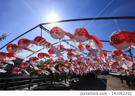柳井金魚燈籠節 3049 141062292