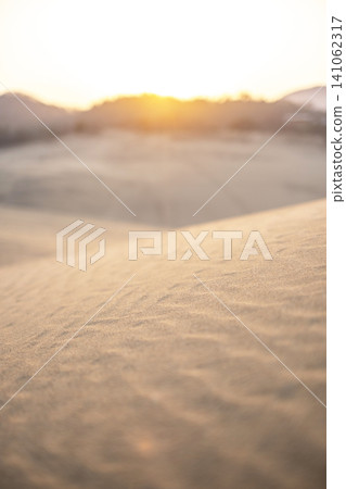 Dawn at the Tottori Sand Dunes Dawn at the Tottori Sand Dunes 141062317