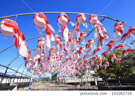 Yanai Goldfish Lantern Festival 3143 141062726