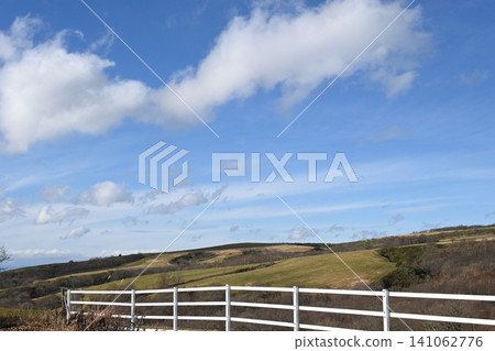 A lush green grassland landscape stretches out under a blue sky. A lush green grassland landscape stretches out under a blue sky. 141062776