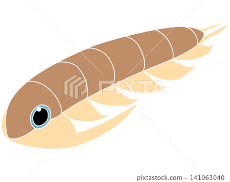 A stylized illustration of a Cambrian trilobite (Paradoxides). 141063040