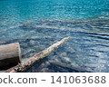 Fallen trees submerged in the crystal-clear waters of Joffre Lake 141063688