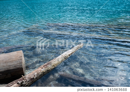 Fallen trees submerged in the crystal-clear waters of Joffre Lake Fallen trees submerged in the crystal-clear waters of Joffre Lake 141063688