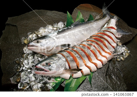 An image of fish ingredients arranged on a bedrock base with ice and haran leaves, topped with a whole fresh chum salmon and a whole fillet (young chum salmon). An image of fish ingredients arranged on a bedrock base with ice and haran leaves, topped with a whole fresh chum salmon and a whole fillet (young chum salmon). 141063867