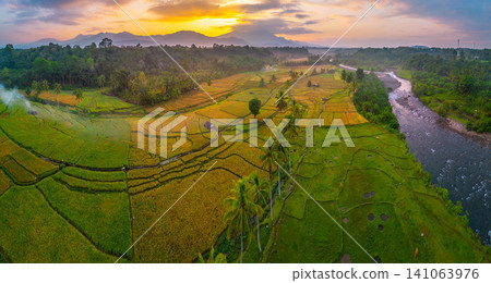 Beautiful panoramic aerial view of terraced rice fields at sunrise in Indonesia, surrounded by lush tropical greenery and palm trees Beautiful panoramic aerial view of terraced rice fields at sunrise in Indonesia, surrounded by lush tropical greenery and palm trees 141063976
