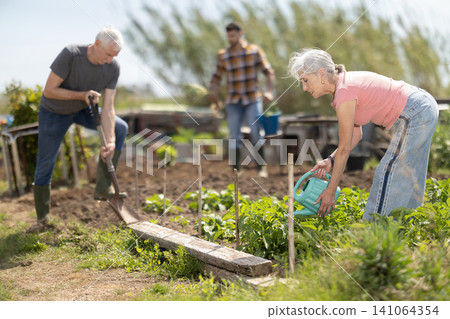 Elderly woman watering plants with watering can Elderly woman watering plants with watering can 141064354