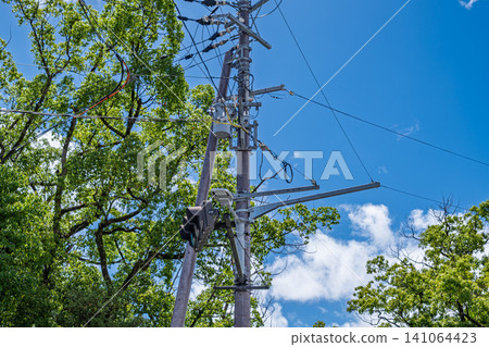 【#UtilityPole】A scene of utility poles and power lines against a blue sky and fresh greenery. 【#UtilityPole】A scene of utility poles and power lines against a blue sky and fresh greenery. 141064423