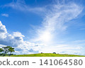 Early summer blue sky, clouds, grassland, and road 141064580