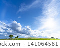 Early summer blue skies, clouds, and grasslands 141064581