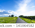 Early summer blue skies, clouds, and grasslands 141064582