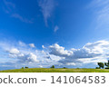 Early summer blue skies, clouds, and grasslands 141064583