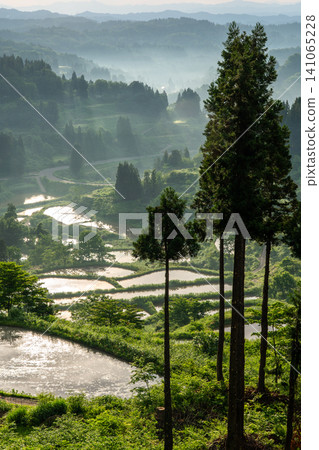 Hoshitoge Rice Terraces: Sea of Clouds in the Morning Glow - Tokamachi City, Niigata Prefecture Hoshitoge Rice Terraces: Sea of Clouds in the Morning Glow - Tokamachi City, Niigata Prefecture 141065228