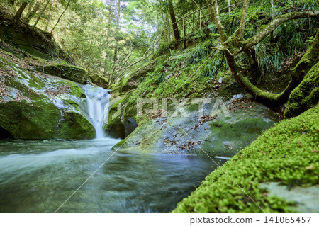 Longzhen Valley: A healing power spot enveloped in mystical silence Longzhen Valley: A healing power spot enveloped in mystical silence 141065457