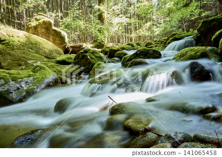 Longzhen Valley: A healing power spot enveloped in mystical silence Longzhen Valley: A healing power spot enveloped in mystical silence 141065458