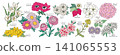各種花卉圖案素材（蘭花、溝酸漿、銀蓮花、雛菊、毛茛、鳶尾花） 141065553