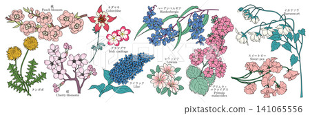 各種花卉圖案素材（桃花、蒲公英、櫻花、耬斗菜、紫露草、丁香、硬菊等） 141065556