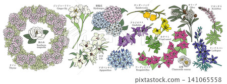 各種花卉圖案材料(百里香、玉蘭、薑花、繡球花、百合、百子蓮、檀香) 各種花卉圖案材料(百里香、玉蘭、薑花、繡球花、百合、百子蓮、檀香) 141065558