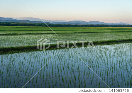 Countryside scenery of the sunrise Countryside scenery of the sunrise 141065756