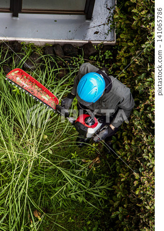 A landscape gardener trims the hedges of an apartment building using a single-edged hedge trimmer. 141065786