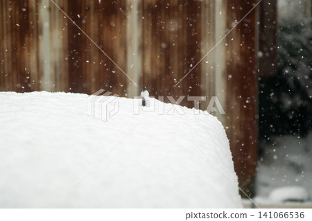 特寫鏡頭顯示,積雪堆積在汽車車頂上,由於大雪封頂,只有天線露在外。 特寫鏡頭顯示,積雪堆積在汽車車頂上,由於大雪封頂,只有天線露在外。 141066536
