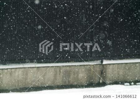 snowy, the fence, winter 141066612